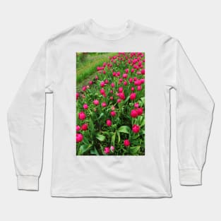 Tulip Fields Long Sleeve T-Shirt